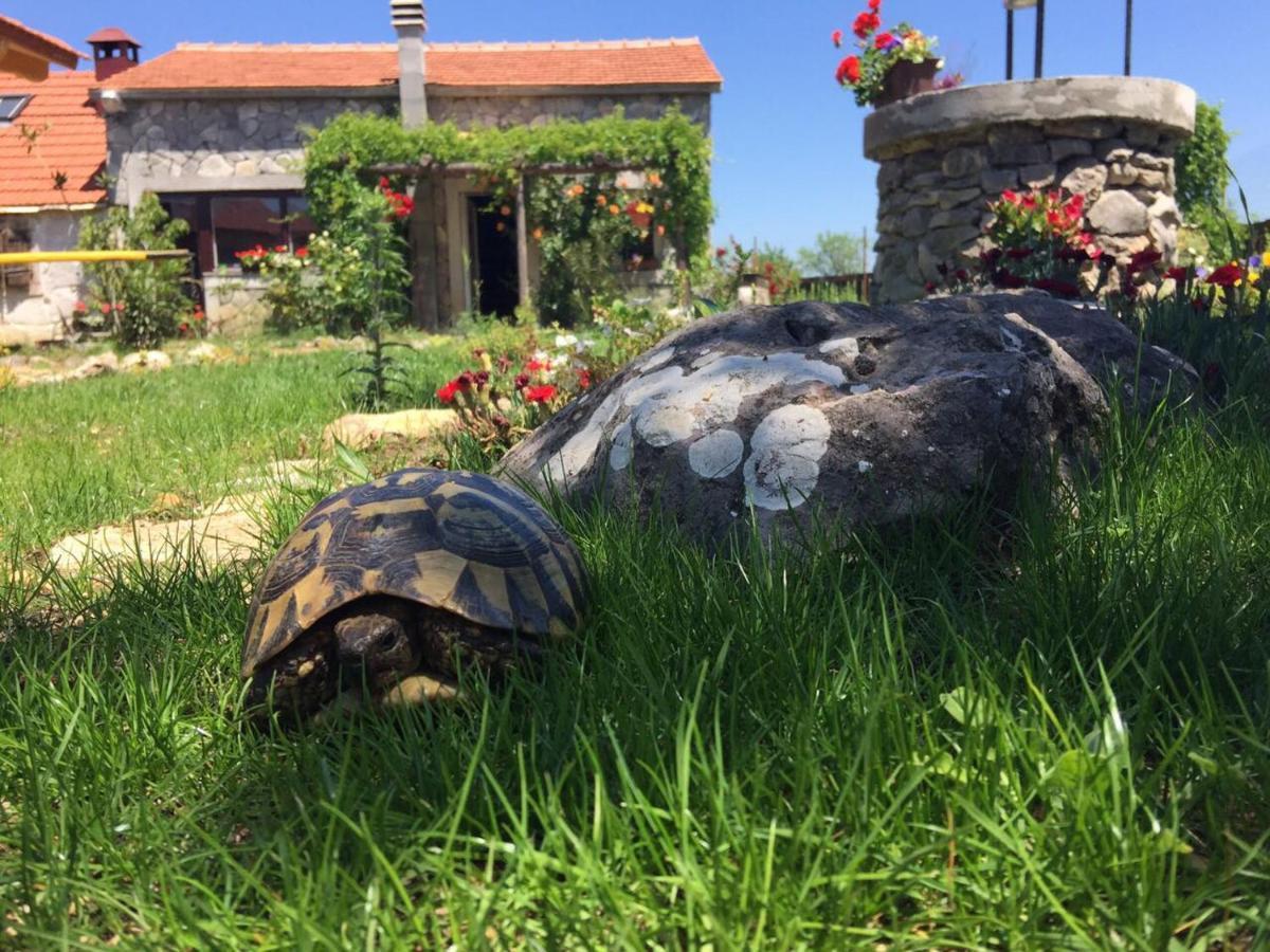 Kuca Za Odmor Joko I Jeka Villa Bogatic Bagian luar foto
