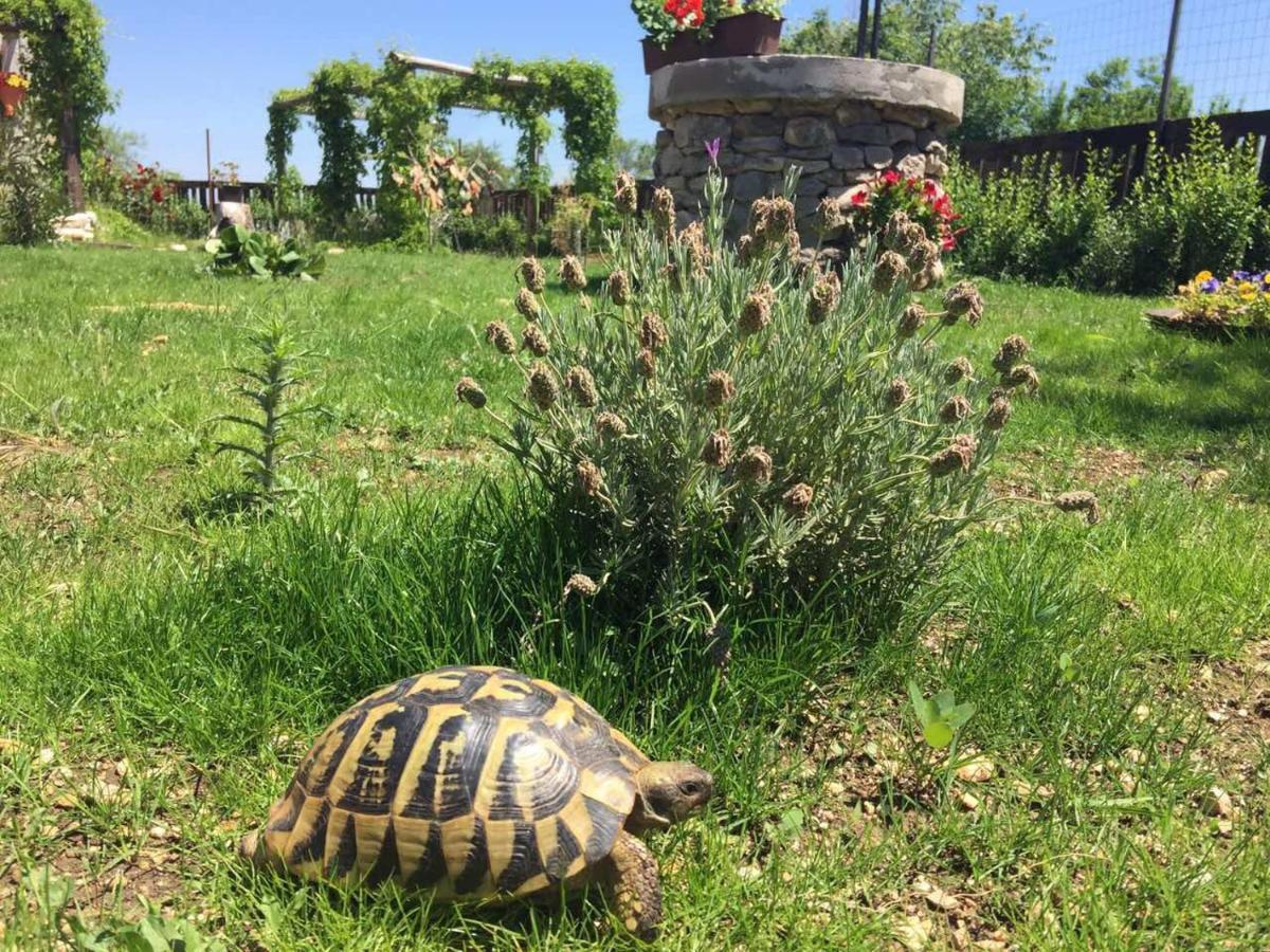 Kuca Za Odmor Joko I Jeka Villa Bogatic Bagian luar foto